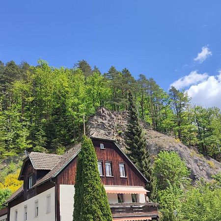 Haus Wander-Lust Apartment Lauterbach  Exterior photo